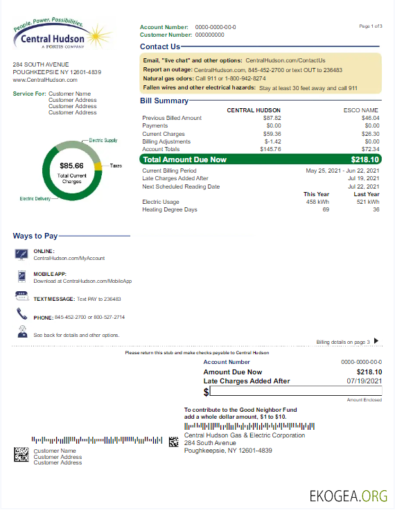 Usa New york central hudson utility bill word and pdf template